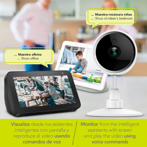 Cámara inteligente WiFi (LC-1219)