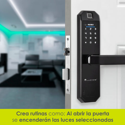 Cerradura inteligente WiFi (LC-1299)